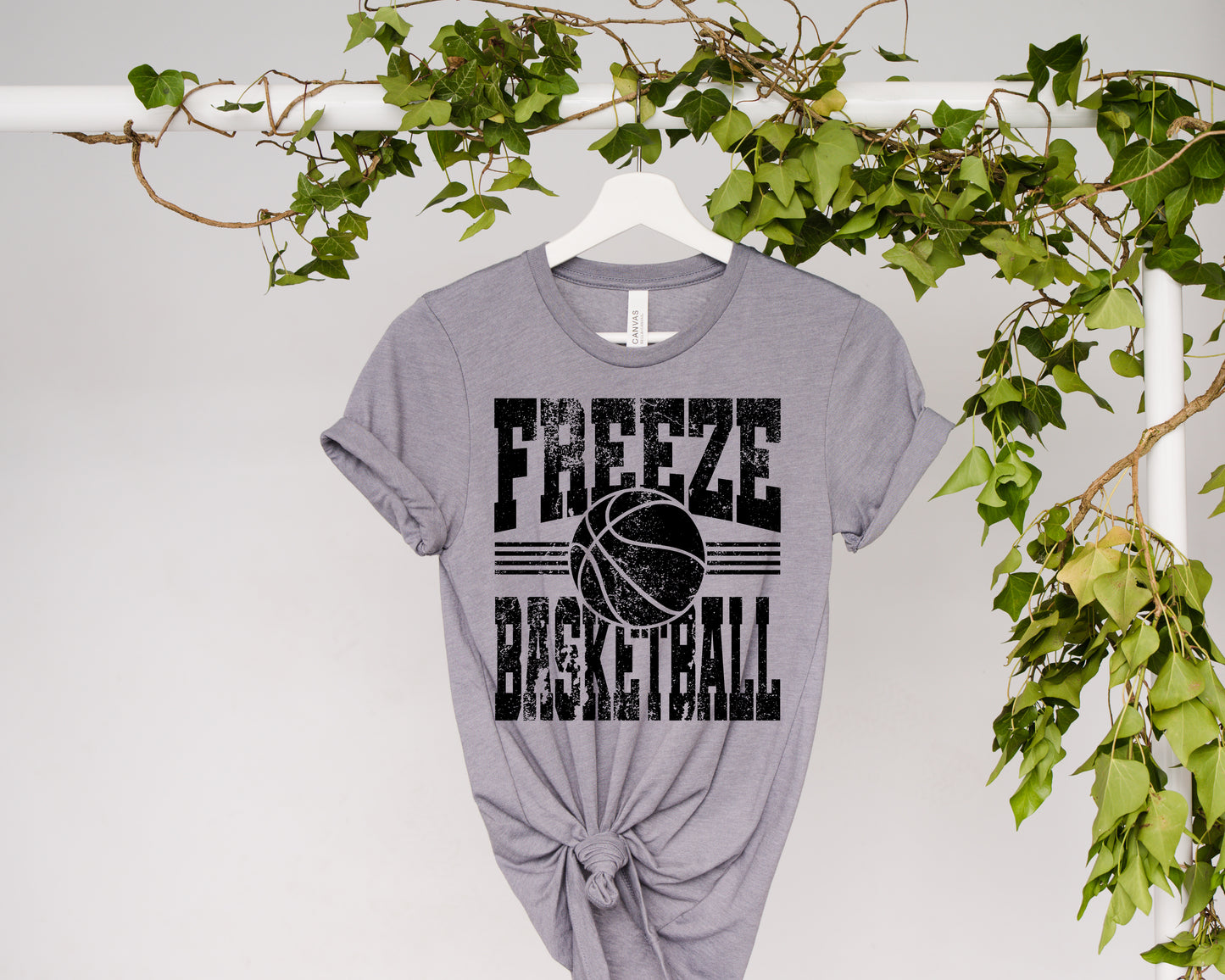 Freeze Basketball