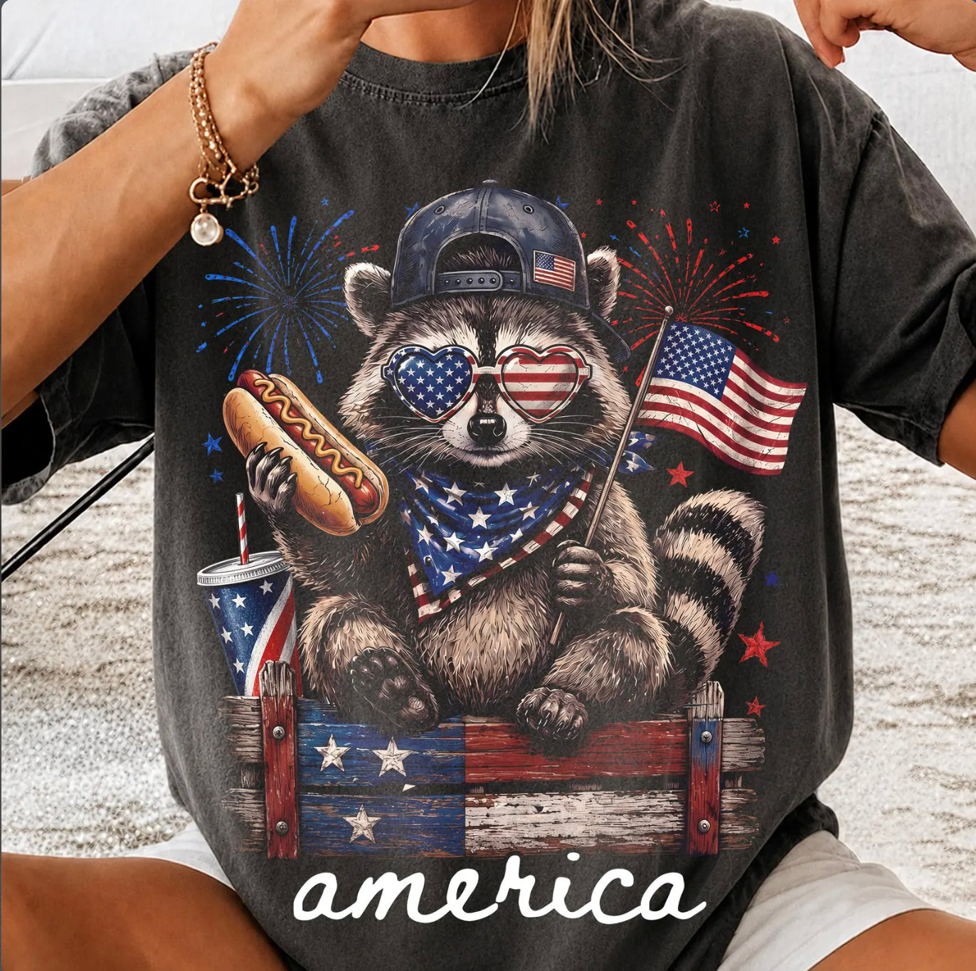 Raccoon America
